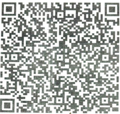 UPI QR Code